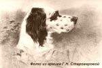 ИСТОРИЯ - Архив Староверовой Г.Н